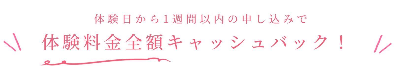 メニュー